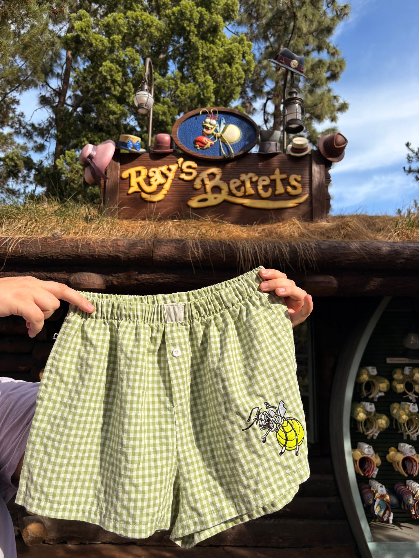 Ray Embroidered Boxer Shorts